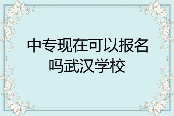 中专现在可以报名吗武汉学校