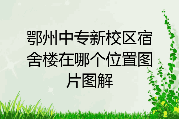 鄂州中专新校区宿舍楼在哪个位置图片图解