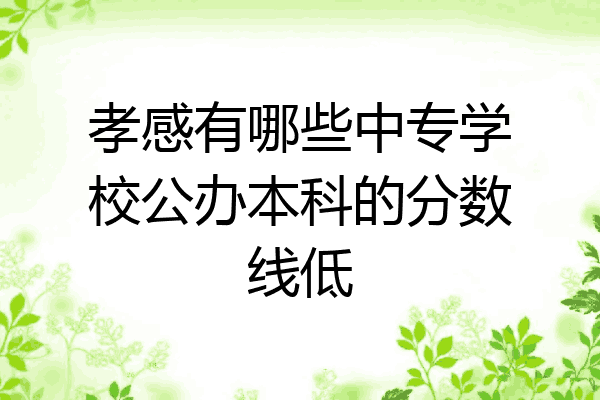 孝感有哪些中专学校公办本科的分数线低