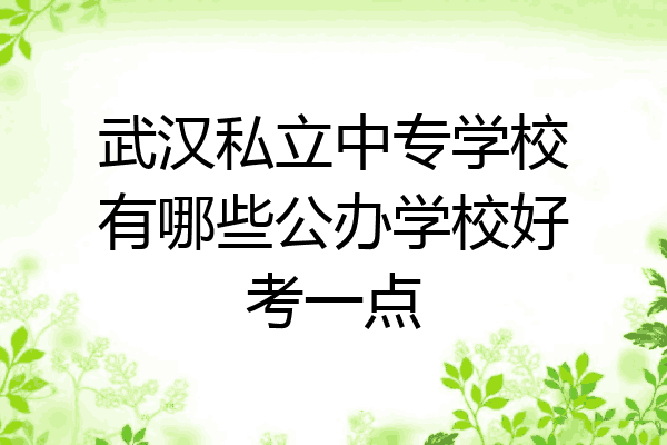 武汉私立中专学校有哪些公办学校好考一点