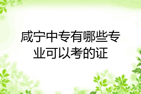 咸宁中专有哪些专业可以考的证