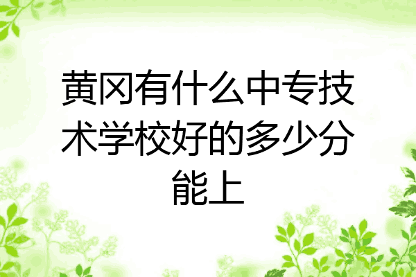 黄冈有什么中专技术学校好的多少分能上