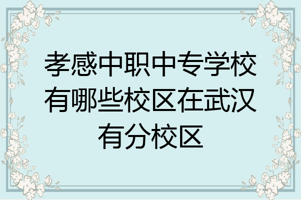 孝感中职中专学校有哪些校区在武汉有分校区
