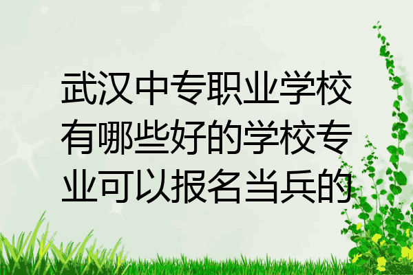 武汉中专职业学校有哪些好的学校专业可以报名当兵的