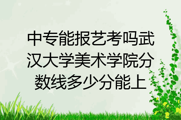 中专能报艺考吗武汉大学美术学院分数线多少分能上