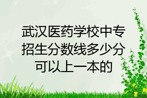 武汉医药学校中专招生分数线多少分可以上一本的