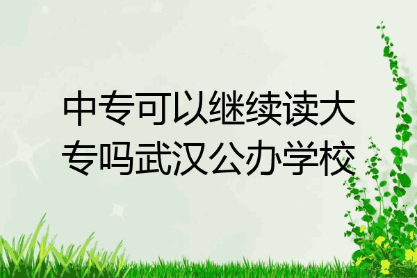 中专可以继续读大专吗武汉公办学校