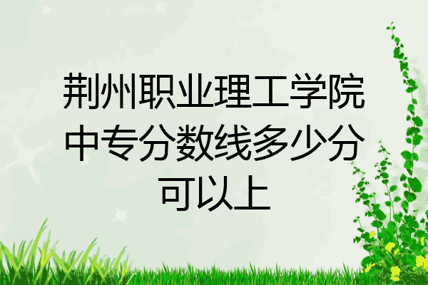 荆州职业理工学院中专分数线多少分可以上