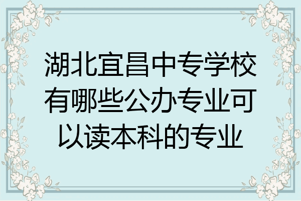 湖北宜昌中专学校有哪些公办专业可以读本科的专业