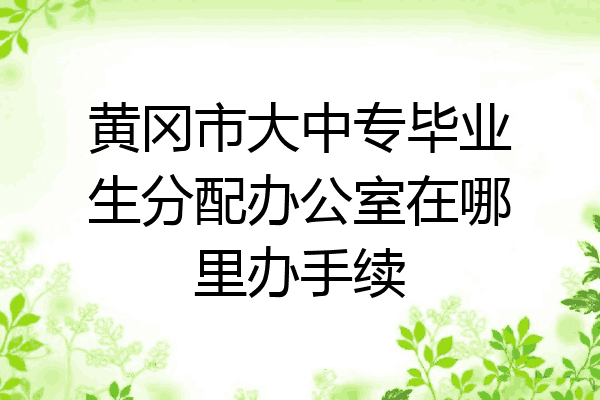 黄冈市大中专毕业生分配办公室在哪里办手续