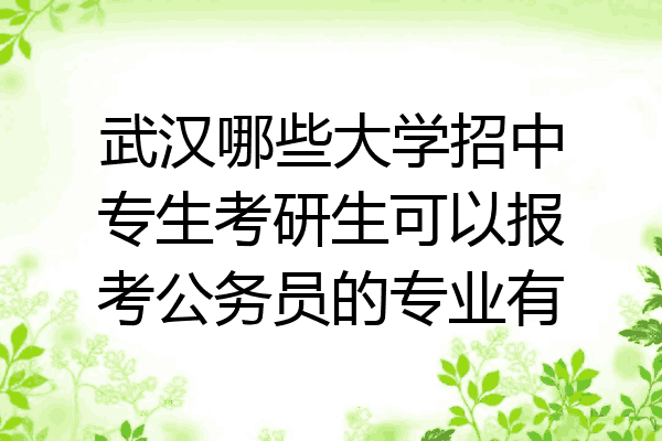 武汉哪些大学招中专生考研生可以报考公务员的专业有