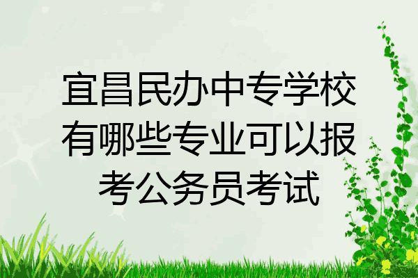 宜昌民办中专学校有哪些专业可以报考公务员考试