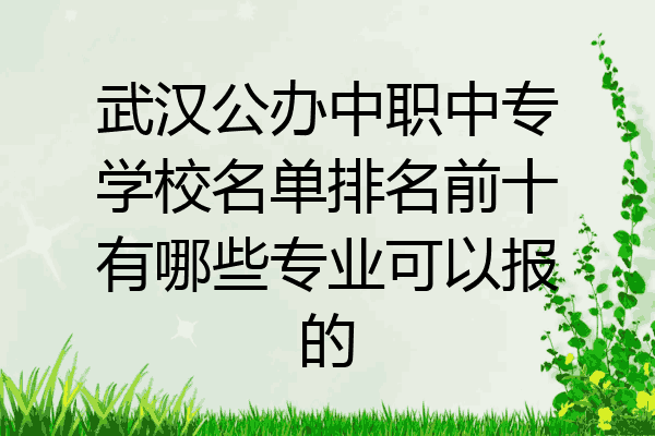 武汉公办中职中专学校名单排名前十有哪些专业可以报的