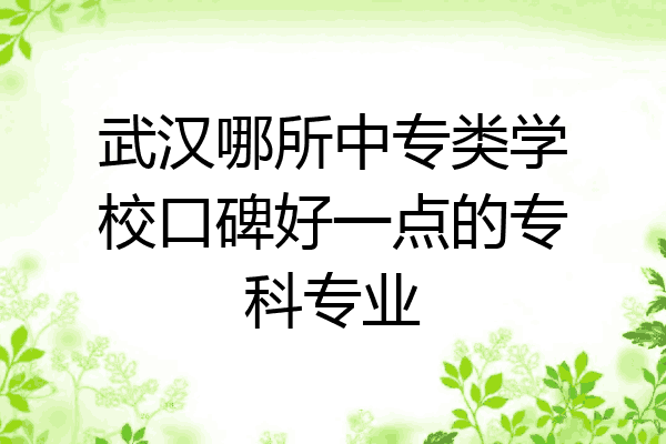 武汉哪所中专类学校口碑好一点的专科专业