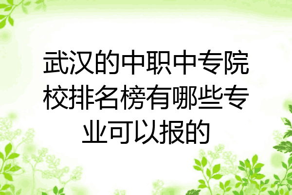 武汉的中职中专院校排名榜有哪些专业可以报的
