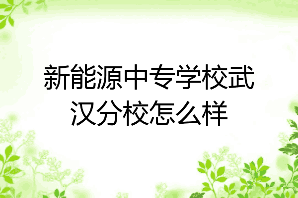 新能源中专学校武汉分校怎么样