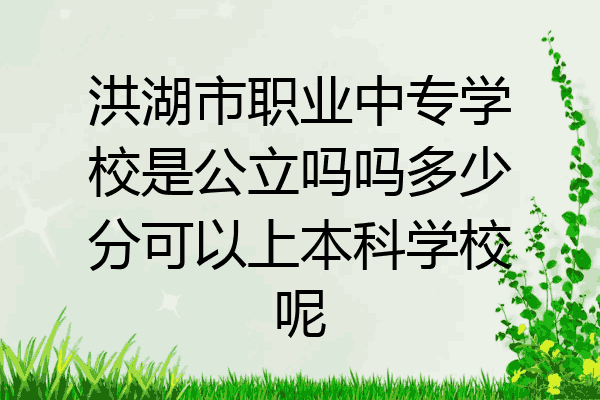洪湖市职业中专学校是公立吗吗多少分可以上本科学校呢