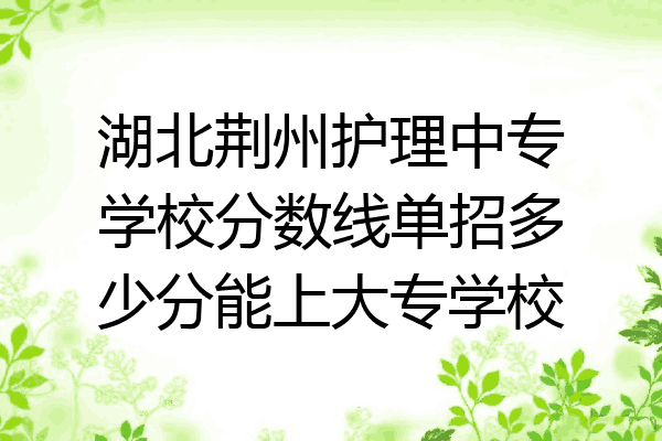 湖北荆州护理中专学校分数线单招多少分能上大专学校