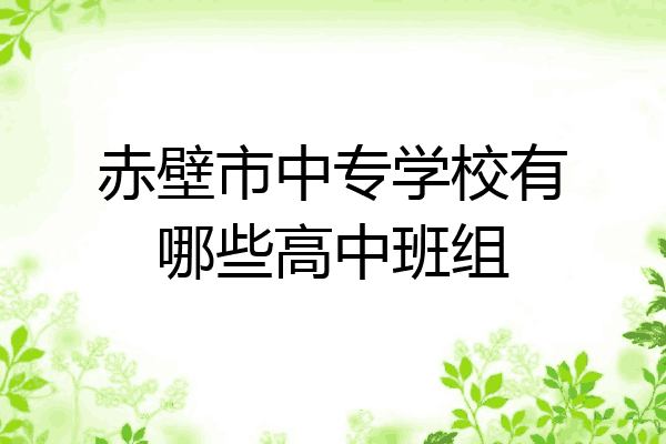 赤壁市中专学校有哪些高中班组