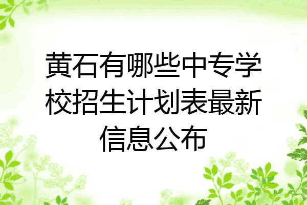 黄石有哪些中专学校招生计划表最新信息公布