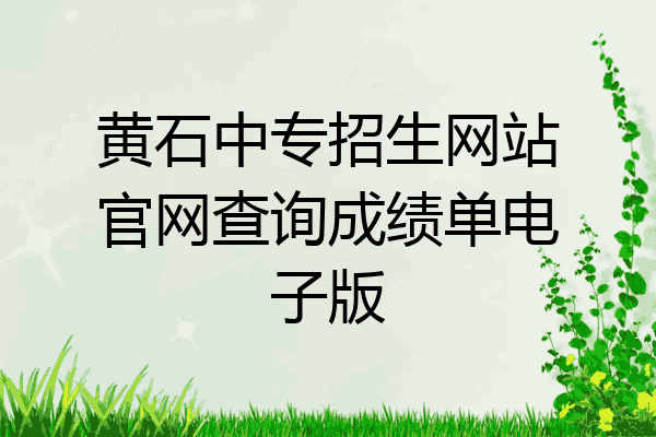 黄石中专招生网站官网查询成绩单电子版