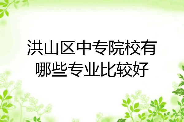 洪山区中专院校有哪些专业比较好