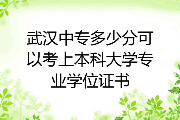 武汉中专多少分可以考上本科大学专业学位证书