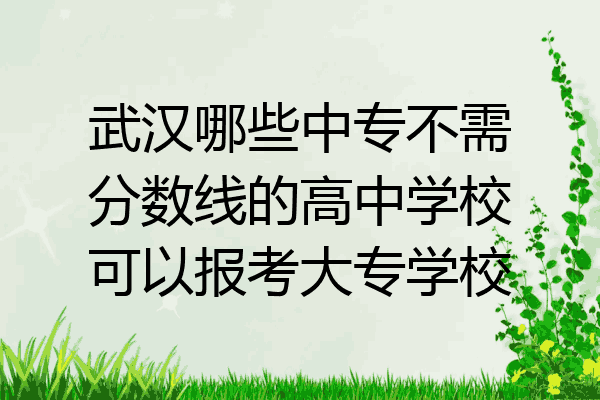 武汉哪些中专不需分数线的高中学校可以报考大专学校