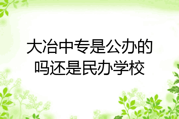 大冶中专是公办的吗还是民办学校