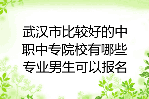 武汉市比较好的中职中专院校有哪些专业男生可以报名