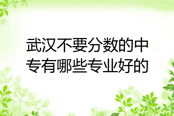 武汉不要分数的中专有哪些专业好的