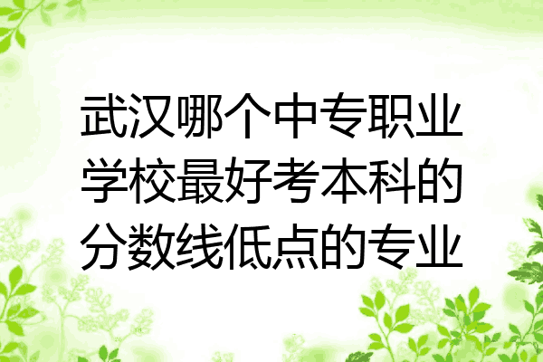 武汉哪个中专职业学校最好考本科的分数线低点的专业