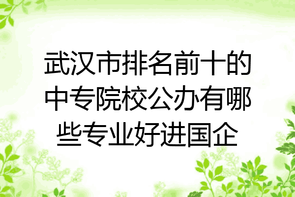 武汉市排名前十的中专院校公办有哪些专业好进国企