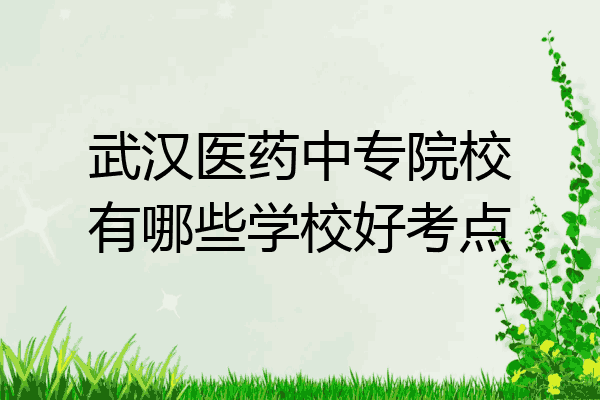 武汉医药中专院校有哪些学校好考点