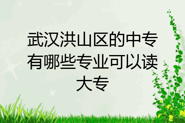 武汉洪山区的中专有哪些专业可以读大专