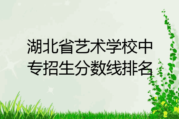 湖北省艺术学校中专招生分数线排名