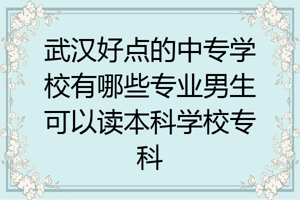 武汉好点的中专学校有哪些专业男生可以读本科学校专科