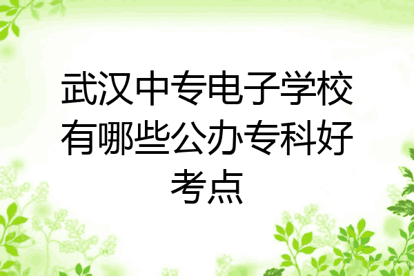 武汉中专电子学校有哪些公办专科好考点