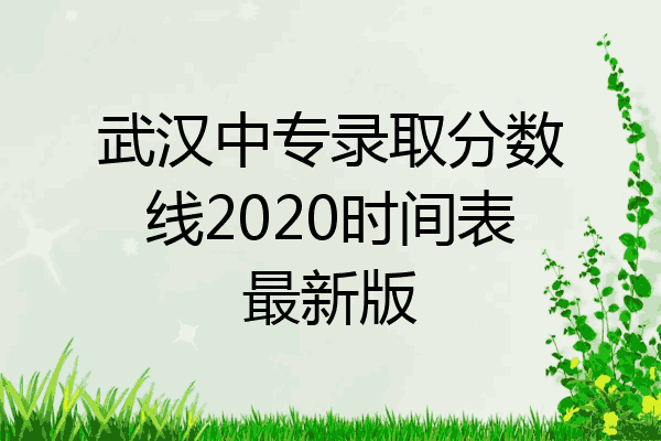 武汉中专录取分数线2020时间表最新版