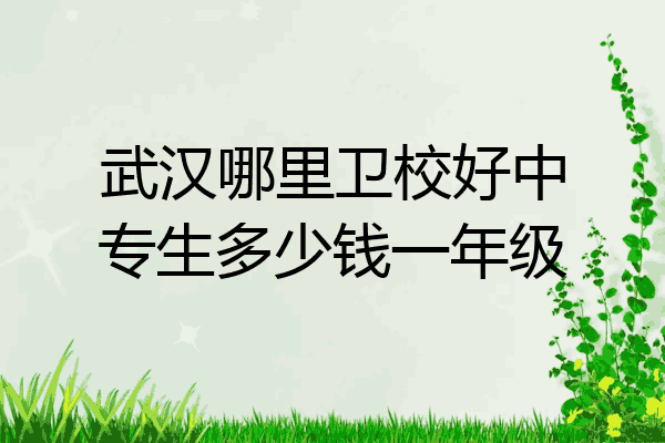 武汉哪里卫校好中专生多少钱一年级