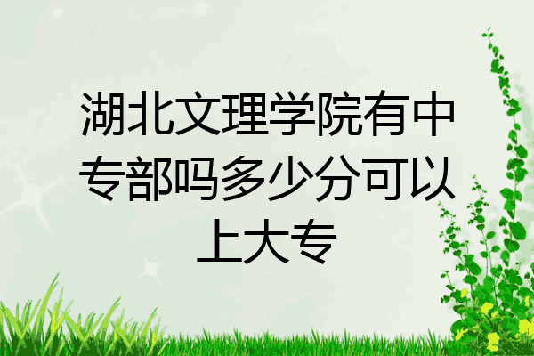 湖北文理学院有中专部吗多少分可以上大专
