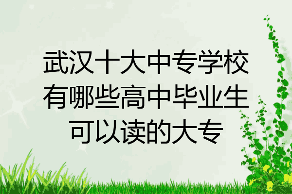 武汉十大中专学校有哪些高中毕业生可以读的大专