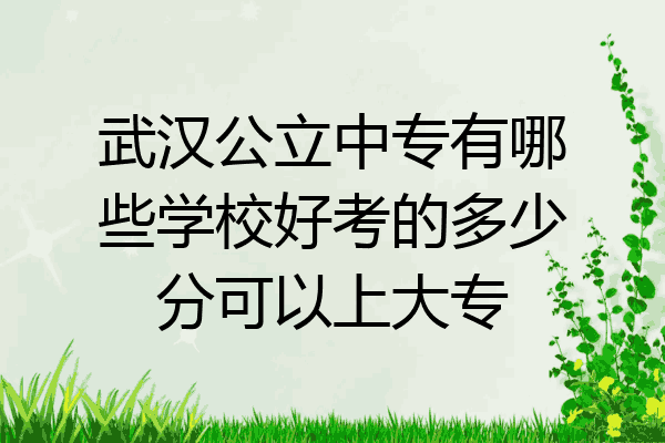 武汉公立中专有哪些学校好考的多少分可以上大专