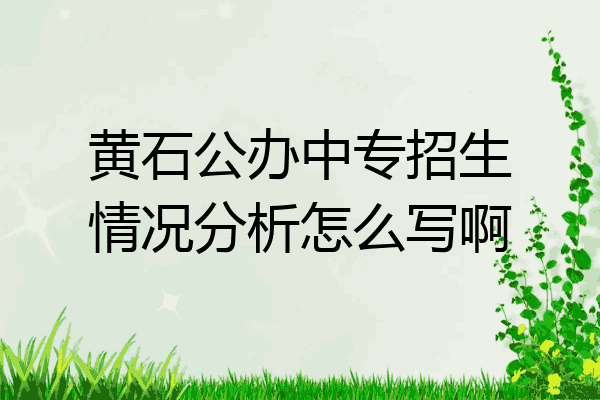 黄石公办中专招生情况分析怎么写啊