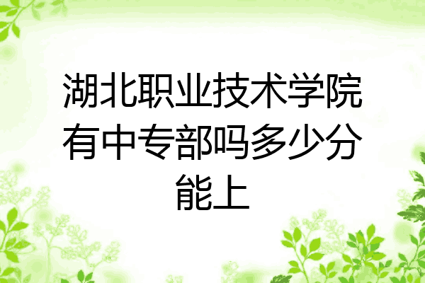 湖北职业技术学院有中专部吗多少分能上