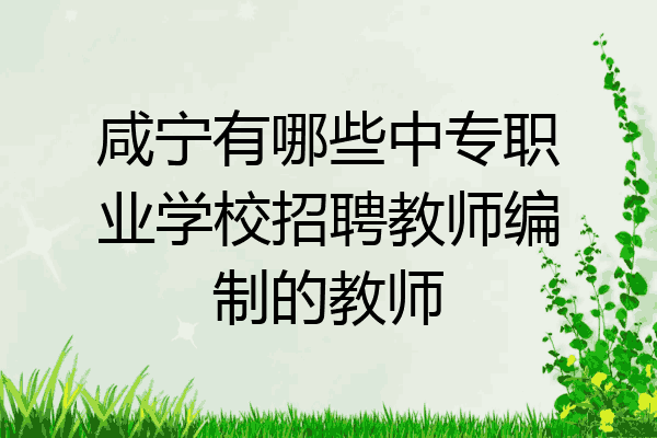 咸宁有哪些中专职业学校招聘教师编制的教师
