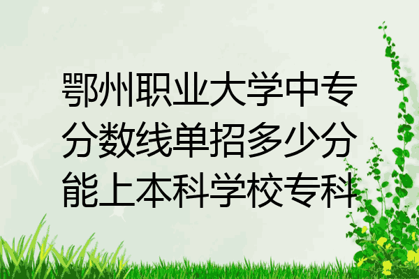 鄂州职业大学中专分数线单招多少分能上本科学校专科