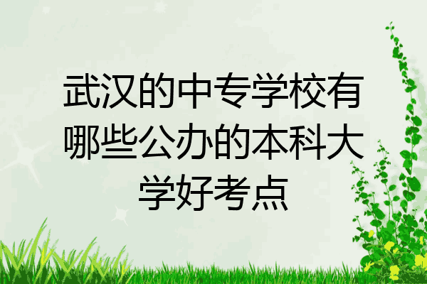 武汉的中专学校有哪些公办的本科大学好考点