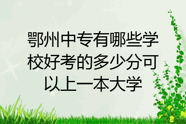 鄂州中专有哪些学校好考的多少分可以上一本大学