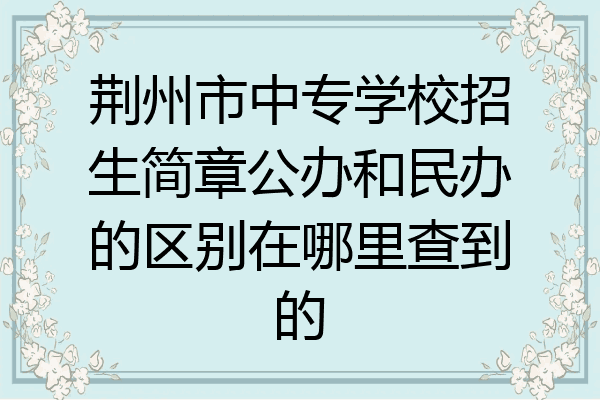 荆州市中专学校招生简章公办和民办的区别在哪里查到的